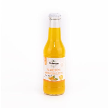 Mandalina Gazozu 200 ML