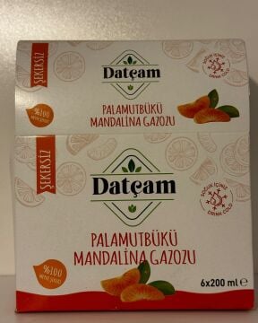 Mandalina Gazozu 200 ML 6'lı